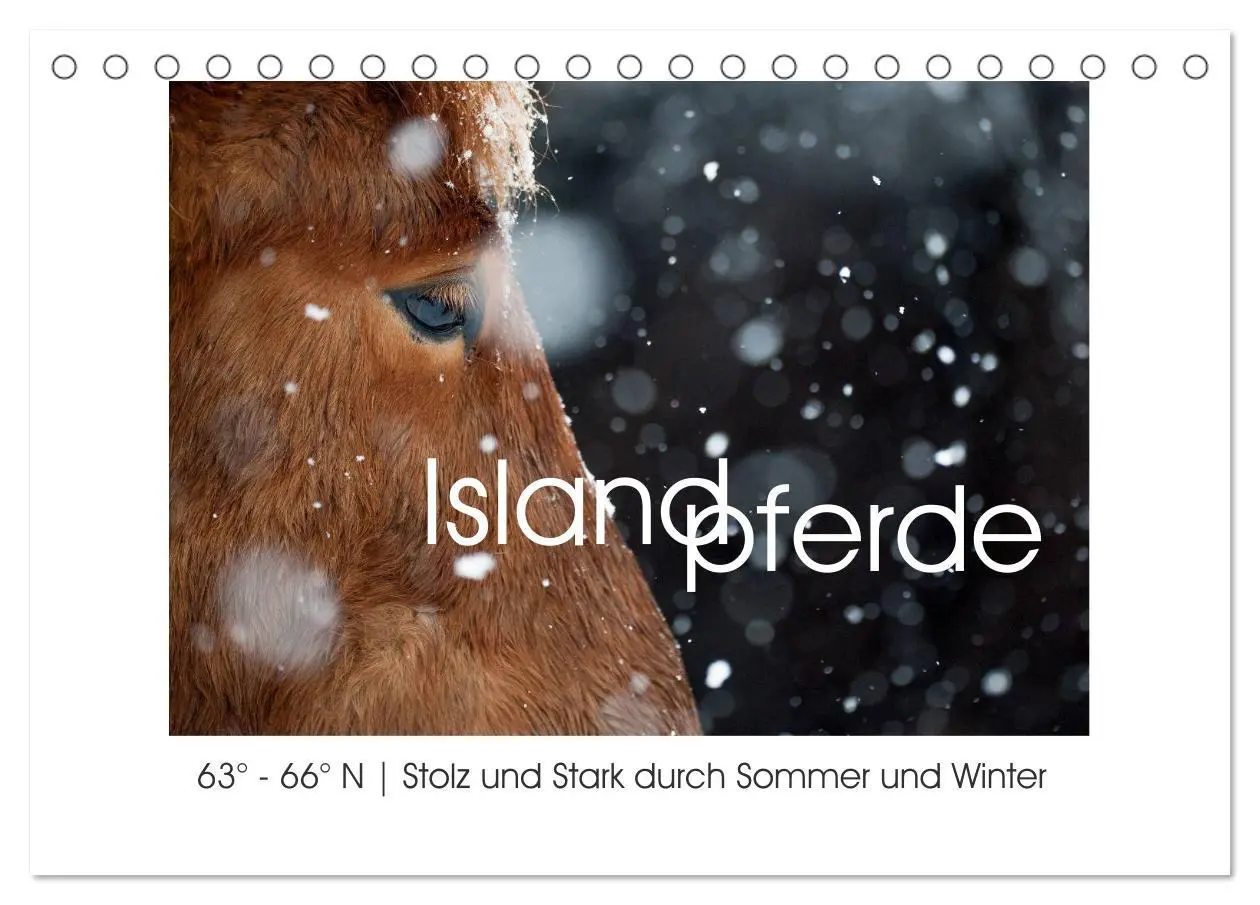 Cover: 9783457992715 | Islandpferde - Stolz und Stark durch Sommer und Winter...