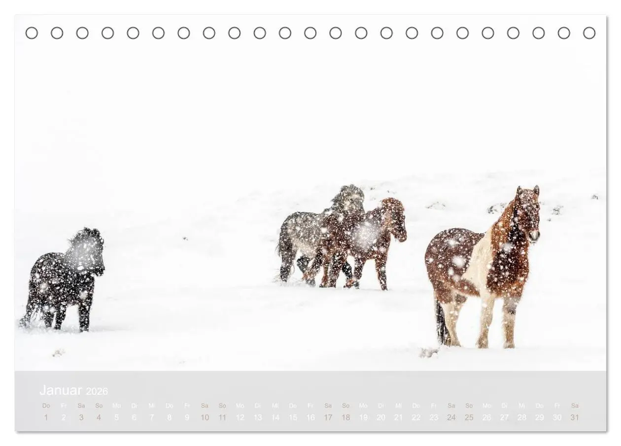 Bild: 9783457992715 | Islandpferde - Stolz und Stark durch Sommer und Winter...