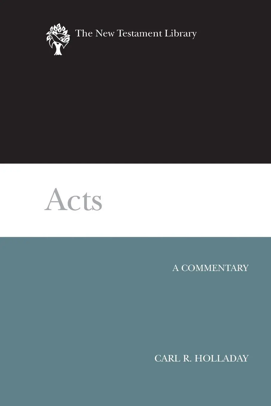 Cover: 9780664262815 | Acts | Carl R. Holladay | Taschenbuch | Kartoniert / Broschiert | 2016