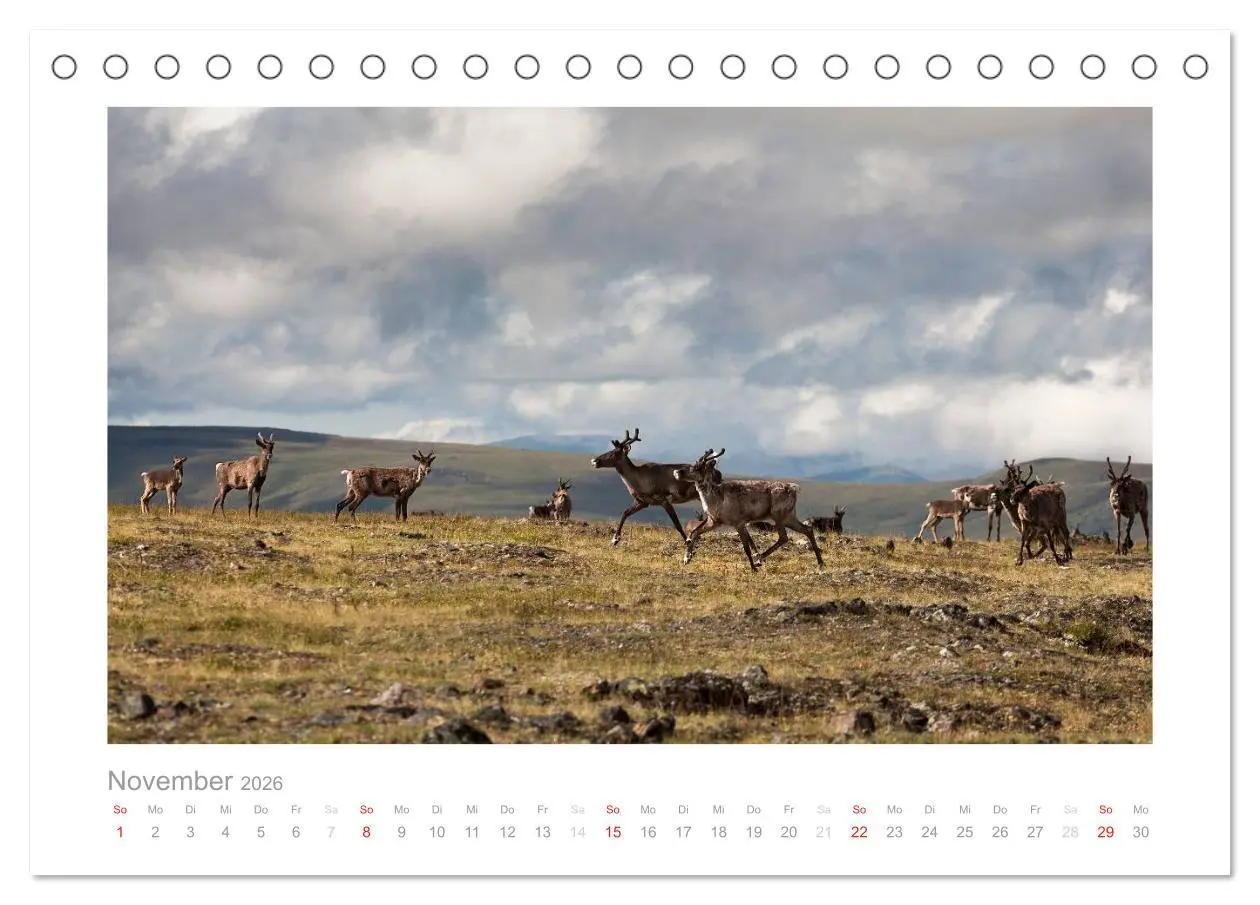 Bild: 9783516202915 | Alaska 2026 (Tischkalender 2026 DIN A5 quer), CALVENDO Monatskalender