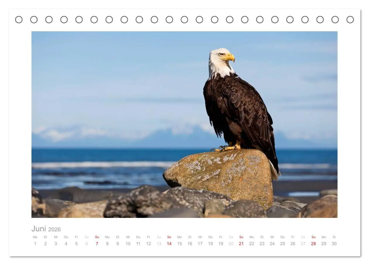 Bild: 9783516202915 | Alaska 2026 (Tischkalender 2026 DIN A5 quer), CALVENDO Monatskalender