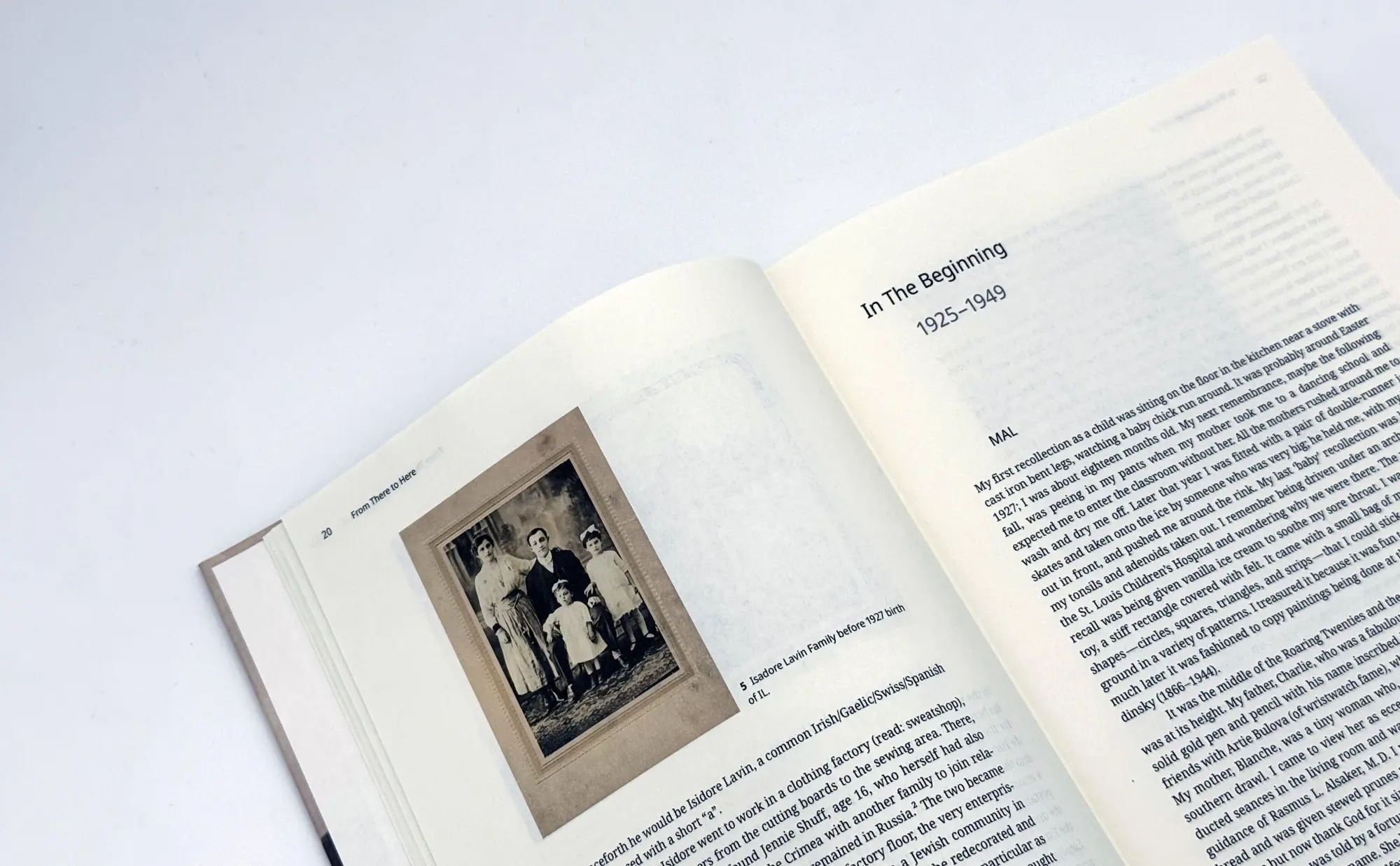 Bild: 9783422803015 | One Life for Two | The Autobiography of Irving and Marilyn Lavin