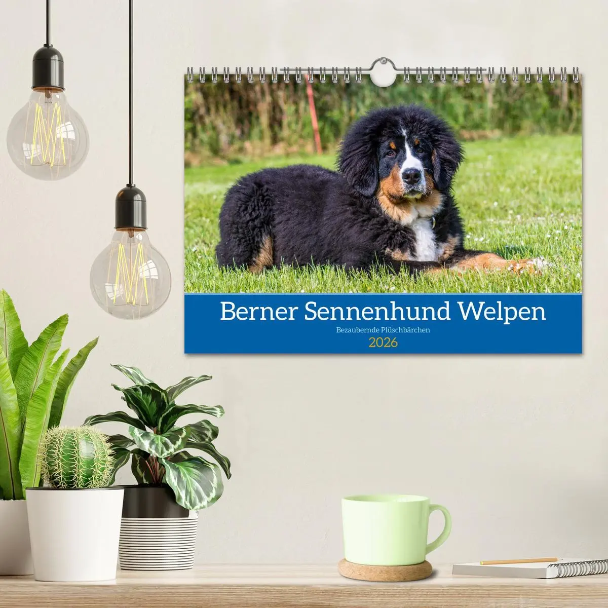 Bild: 9783457553015 | Berner Sennenhund Welpen - Bezaubernde Plüschbärchen (Wandkalender...