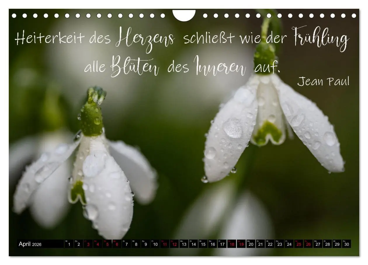 Bild: 9783457623015 | Bilder und Texte für die Seele (Wandkalender 2026 DIN A4 quer),...