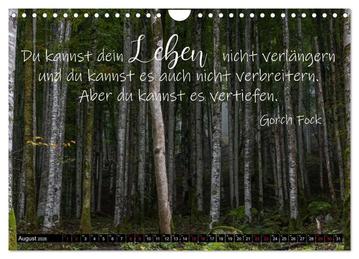 Bild: 9783457623015 | Bilder und Texte für die Seele (Wandkalender 2026 DIN A4 quer),...