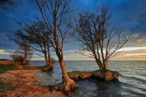 Bild: 9783941803015 | Müritz-Nationalpark | Hommage an eine Landschaft | Bartocha (u. a.)