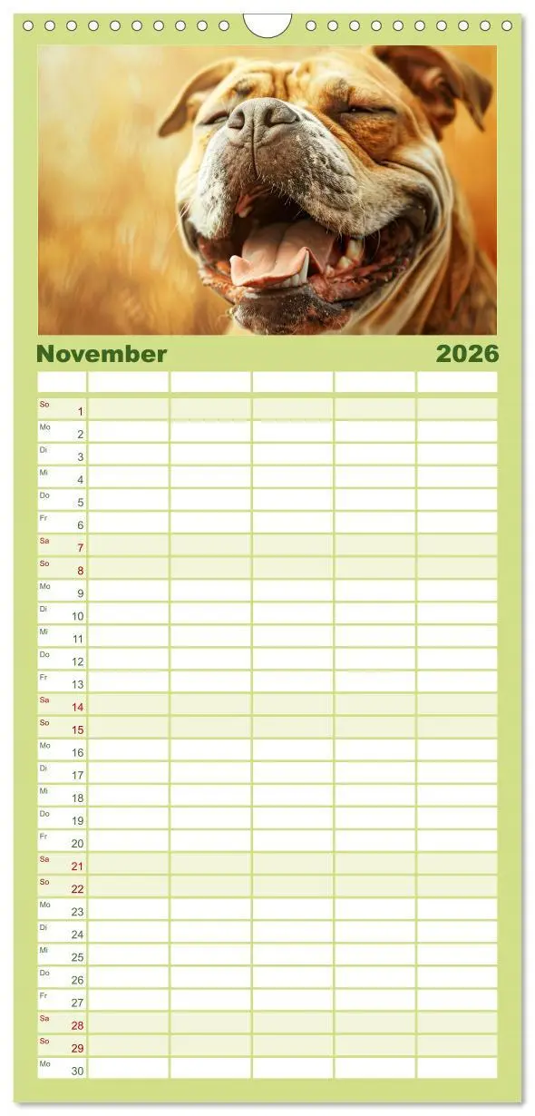 Bild: 9783516493115 | Familienplaner 2026 - Lächelnde Hunde sind wie Sonnenschein auf...