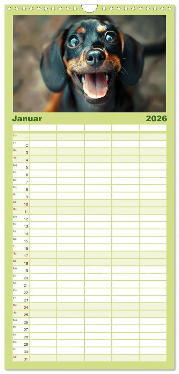 Bild: 9783516493115 | Familienplaner 2026 - Lächelnde Hunde sind wie Sonnenschein auf...