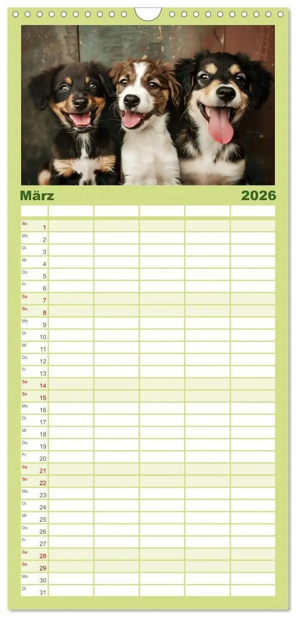 Bild: 9783516493115 | Familienplaner 2026 - Lächelnde Hunde sind wie Sonnenschein auf...