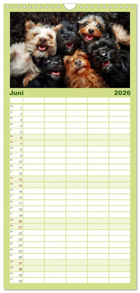Bild: 9783516493115 | Familienplaner 2026 - Lächelnde Hunde sind wie Sonnenschein auf...