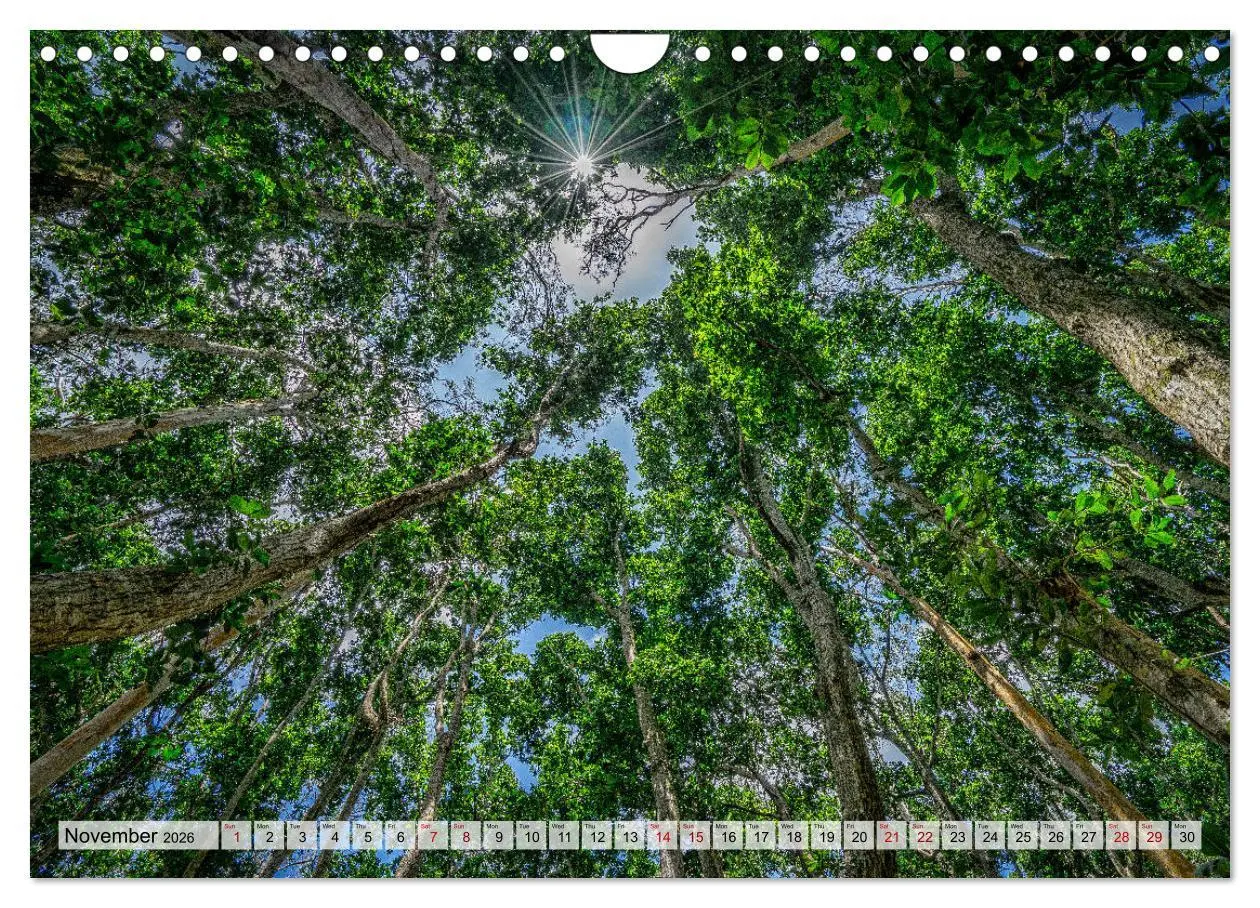 Bild: 9783516563115 | Welcome to Zanzibar (Wall Calendar 2026 DIN A4 landscape), CALVENDO...