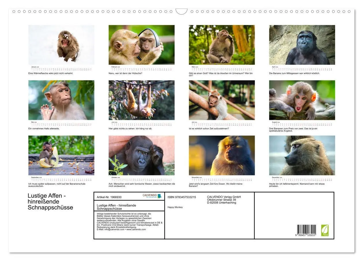 Bild: 9783457533215 | Lustige Affen - hinreißende Schnappschüsse (Wandkalender 2026 DIN...
