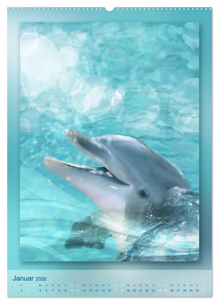 Bild: 9783516483215 | Delfine - Kalender (Wandkalender 2026 DIN A2 hoch), CALVENDO...