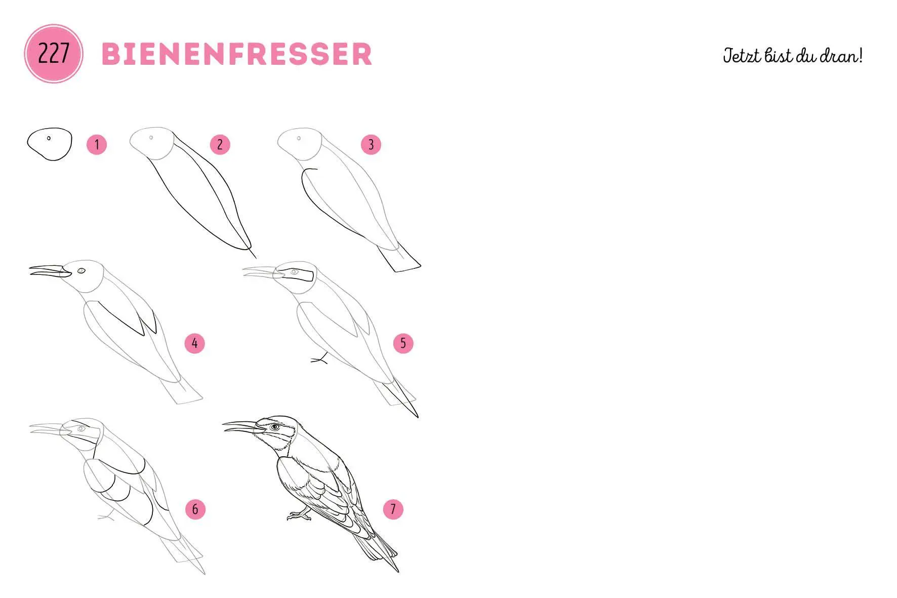 Bild: 9783745933215 | 300 Motive zeichnen - Tiere | Lise Herzog | Taschenbuch | 448 S.