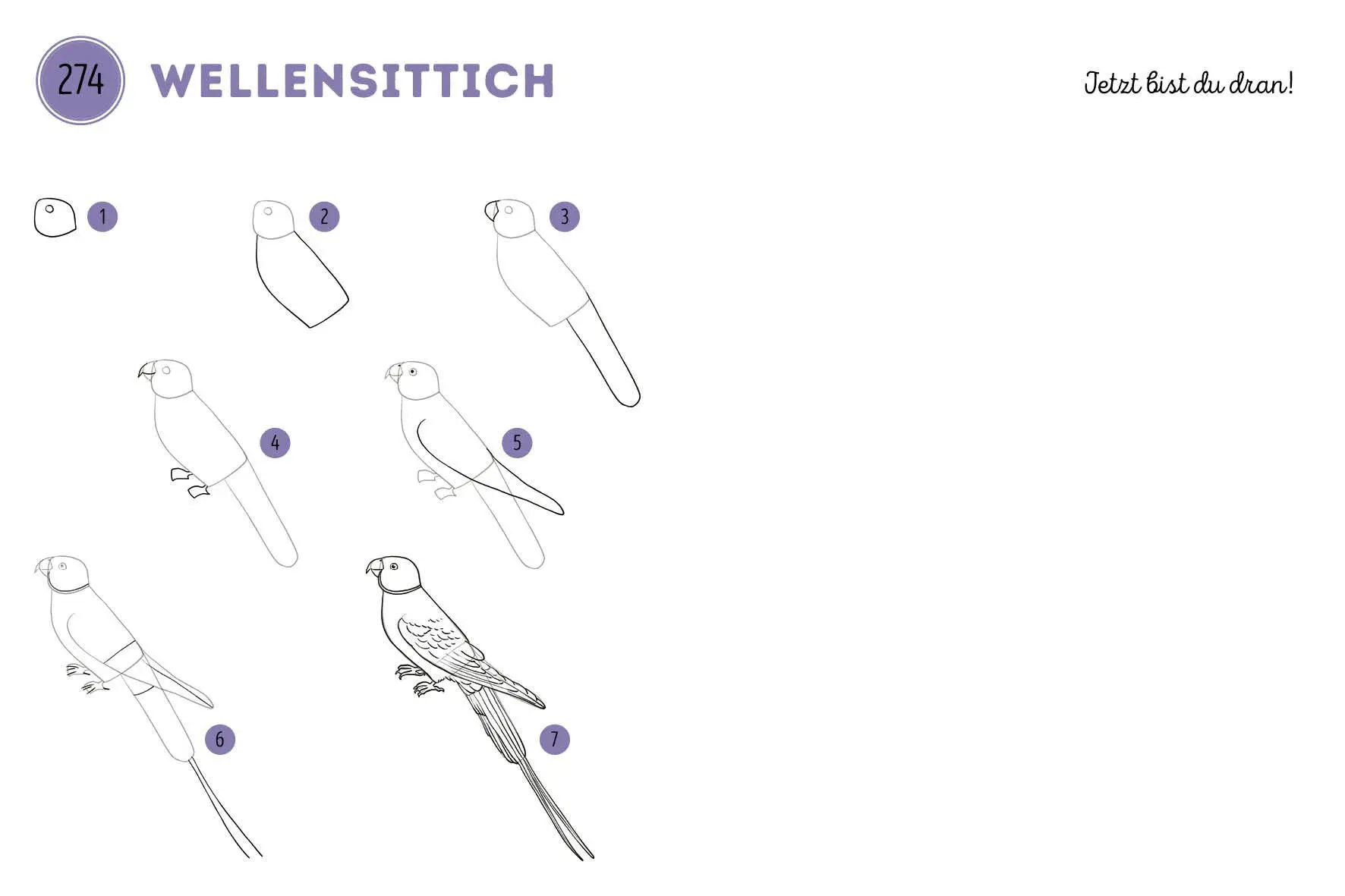 Bild: 9783745933215 | 300 Motive zeichnen - Tiere | Lise Herzog | Taschenbuch | 448 S.