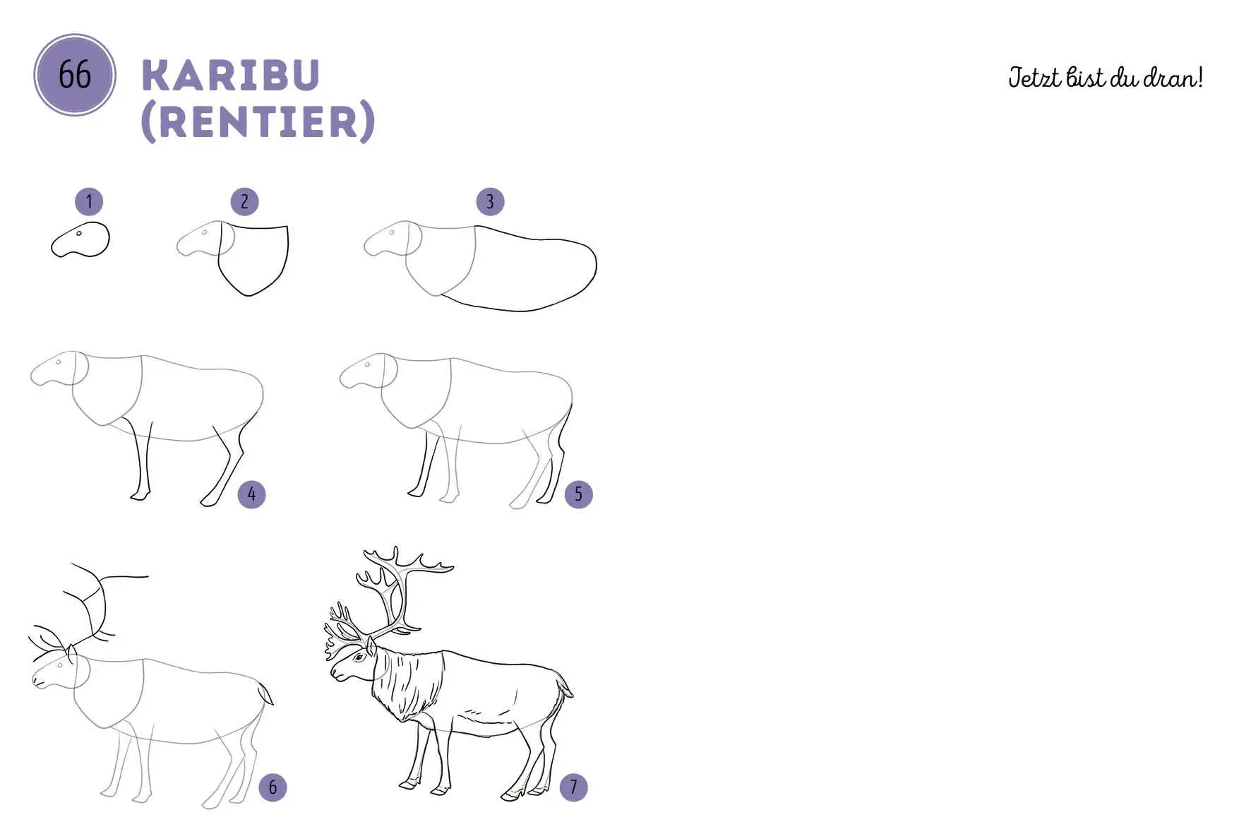 Bild: 9783745933215 | 300 Motive zeichnen - Tiere | Lise Herzog | Taschenbuch | 448 S.