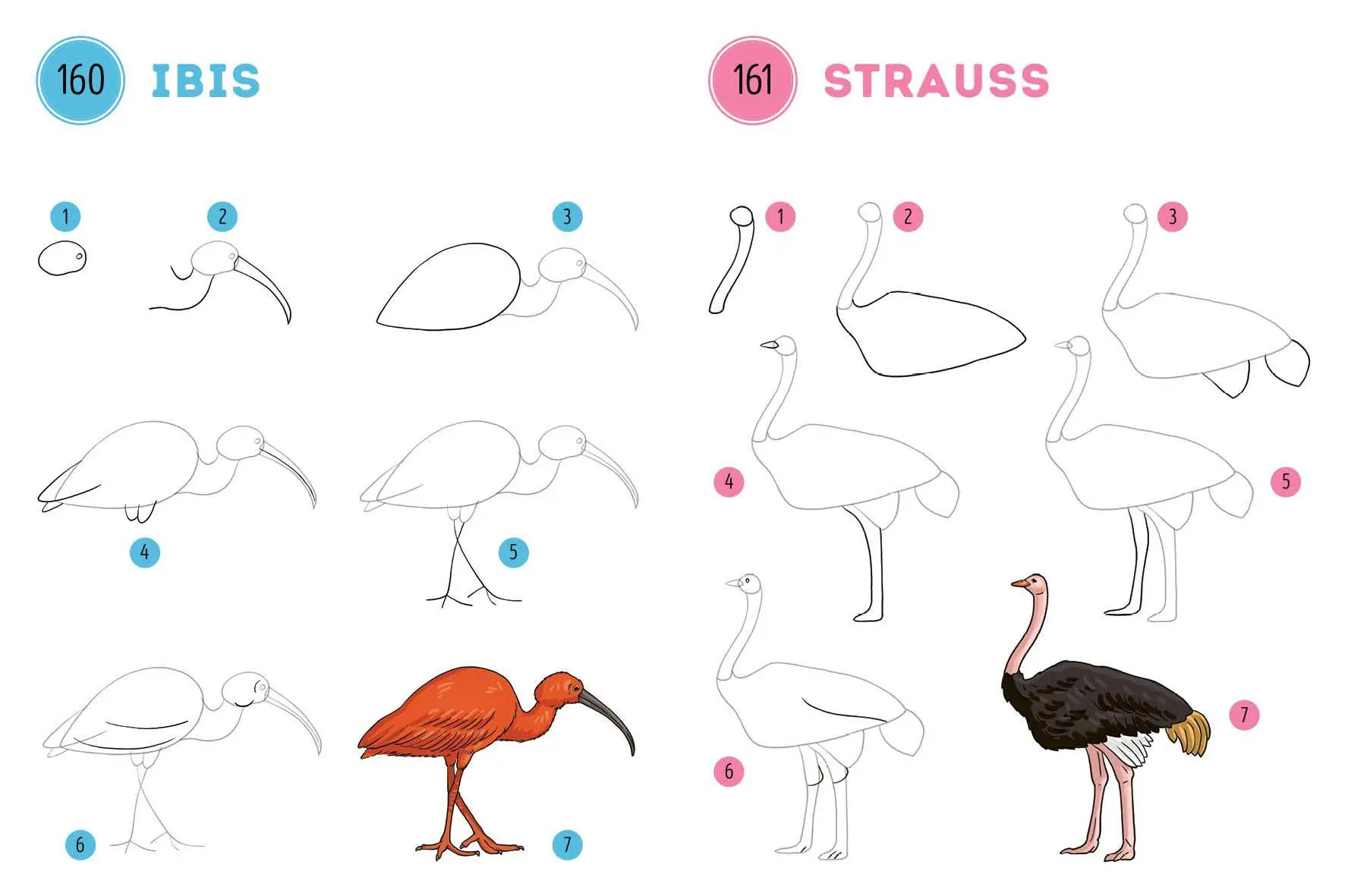 Bild: 9783745933215 | 300 Motive zeichnen - Tiere | Lise Herzog | Taschenbuch | 448 S.
