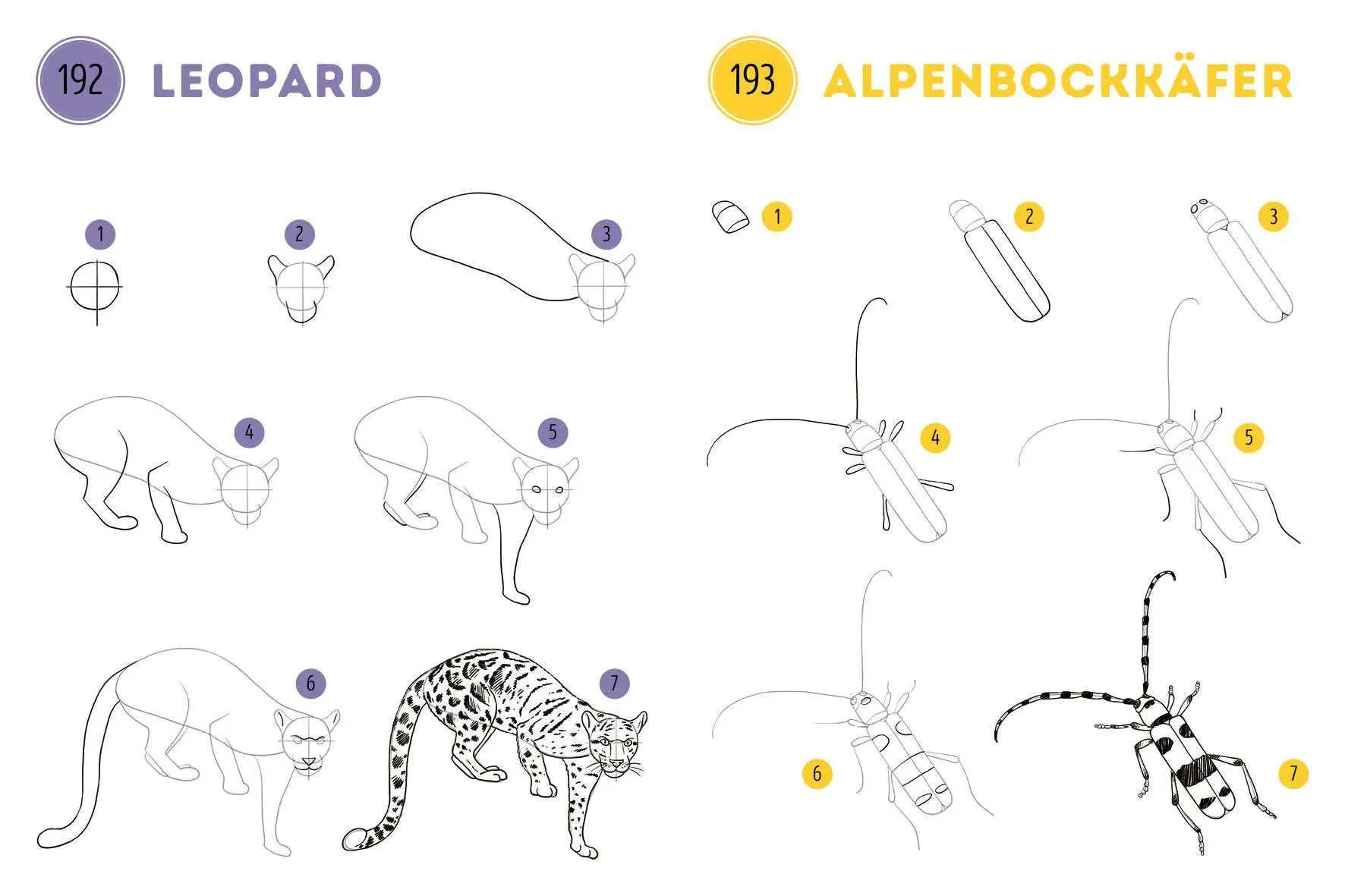 Bild: 9783745933215 | 300 Motive zeichnen - Tiere | Lise Herzog | Taschenbuch | 448 S.