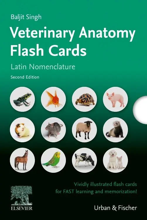 Cover: 9783437413315 | Lernkarten Veterinäranatomie / Veterinary Anatomy Flash Cards | Singh