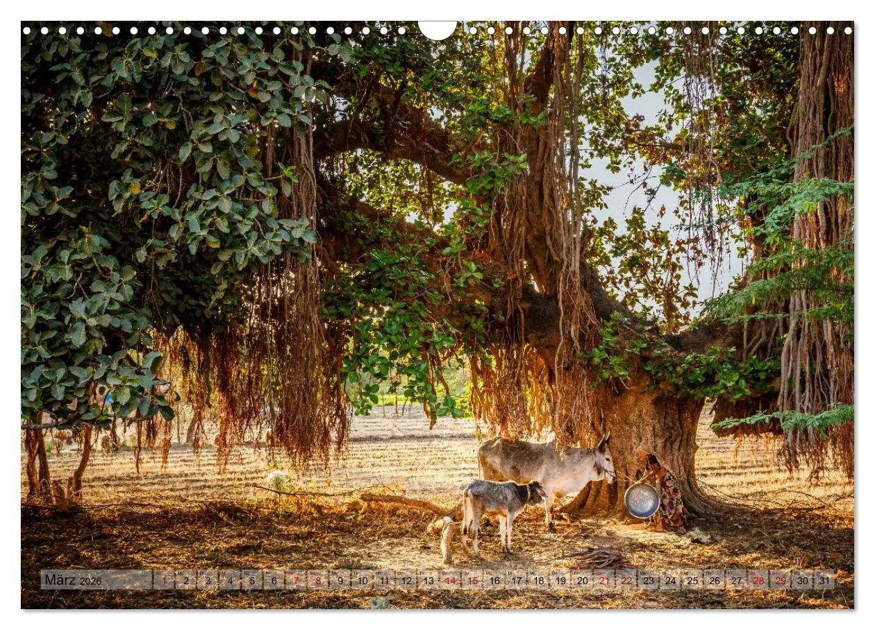 Bild: 9783457833315 | Indien Rajasthan: Unterwegs im Land der Könige (Wandkalender 2026...