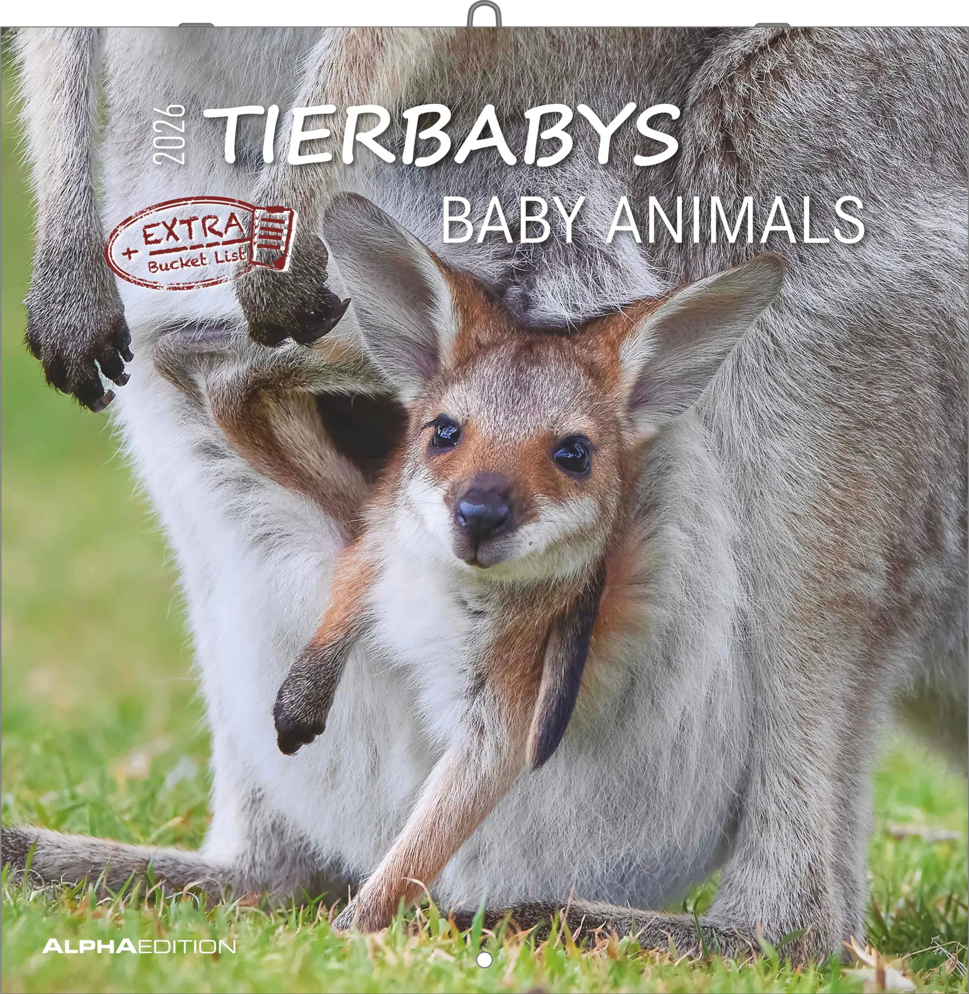 Cover: 4069095003415 | Tierbabys 2026 - Broschürenkalender 30x30 cm (30x60 geöffnet) -...
