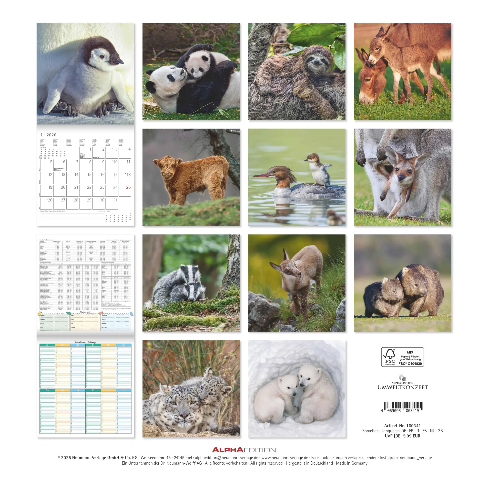 Rückseite: 4069095003415 | Tierbabys 2026 - Broschürenkalender 30x30 cm (30x60 geöffnet) -...
