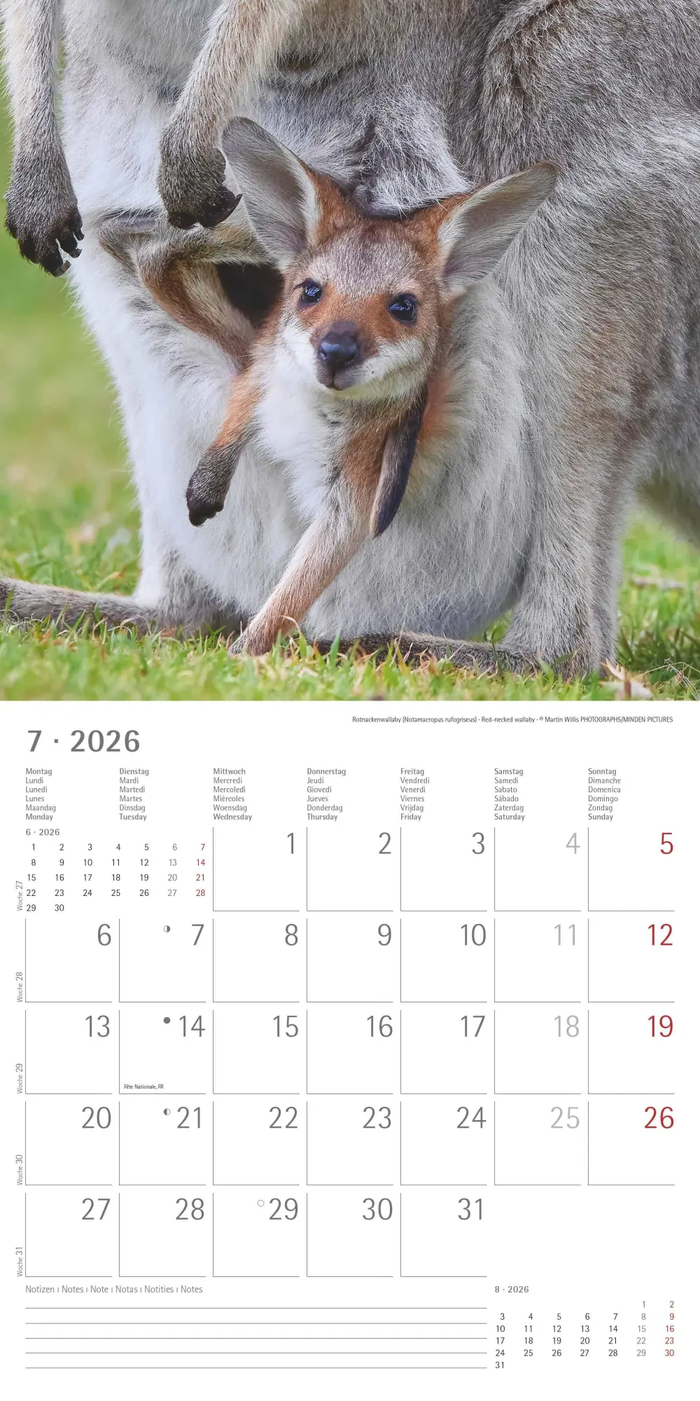 Bild: 4069095003415 | Tierbabys 2026 - Broschürenkalender 30x30 cm (30x60 geöffnet) -...