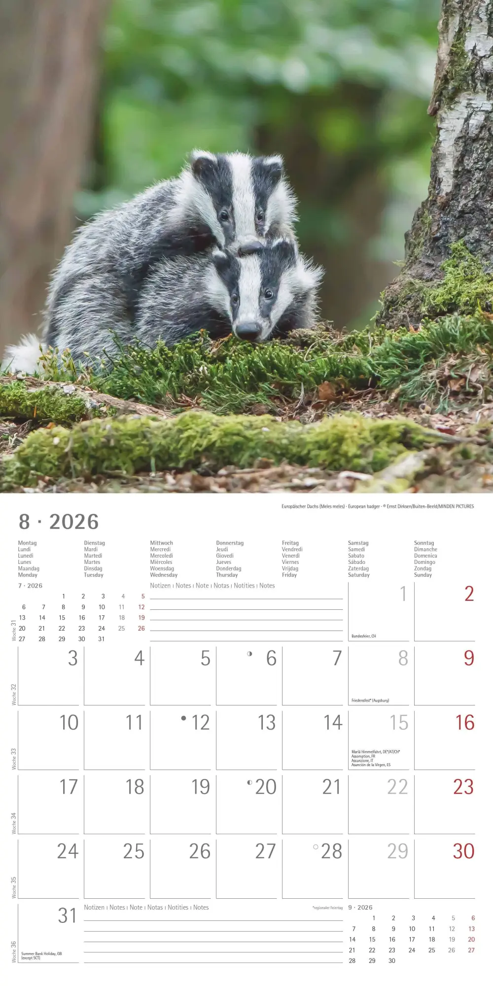 Bild: 4069095003415 | Tierbabys 2026 - Broschürenkalender 30x30 cm (30x60 geöffnet) -...