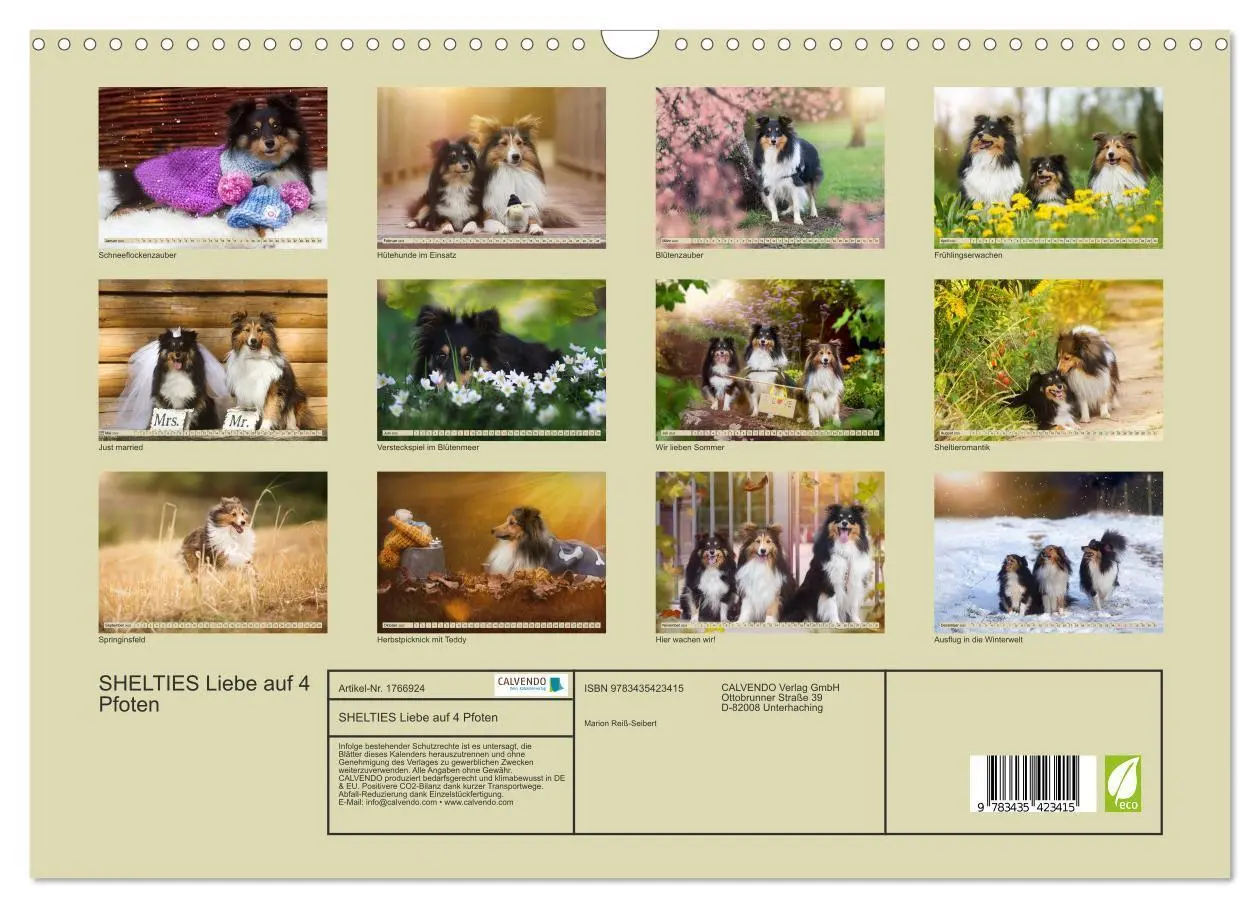 Bild: 9783435423415 | SHELTIES Liebe auf 4 Pfoten (Wandkalender 2025 DIN A3 quer),...