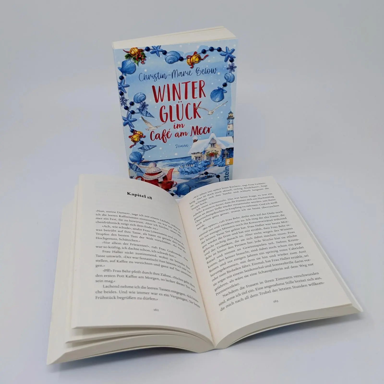 Bild: 9783548073415 | Winterglück im Café am Meer | Christin-Marie Below | Taschenbuch