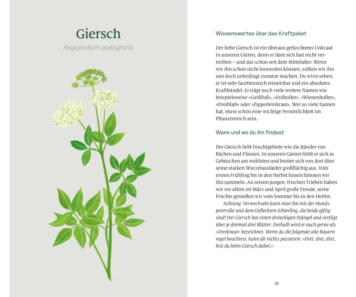 Bild: 9783710403415 | Köstliches Unkraut | Elisabeth Hammersen (u. a.) | Buch | 104 S.