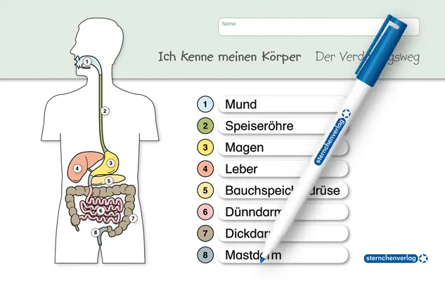 Cover: 9783939293415 | Ich kenne meinen Körper - Der Verdauungsweg | Katrin Langhans | 2 S.