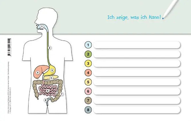 Bild: 9783939293415 | Ich kenne meinen Körper - Der Verdauungsweg | Katrin Langhans | 2 S.