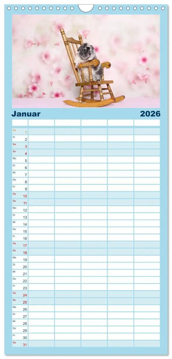 Bild: 9783516523515 | Familienplaner 2026 - Niedliche Meerschweinchen mit 5 Spalten...
