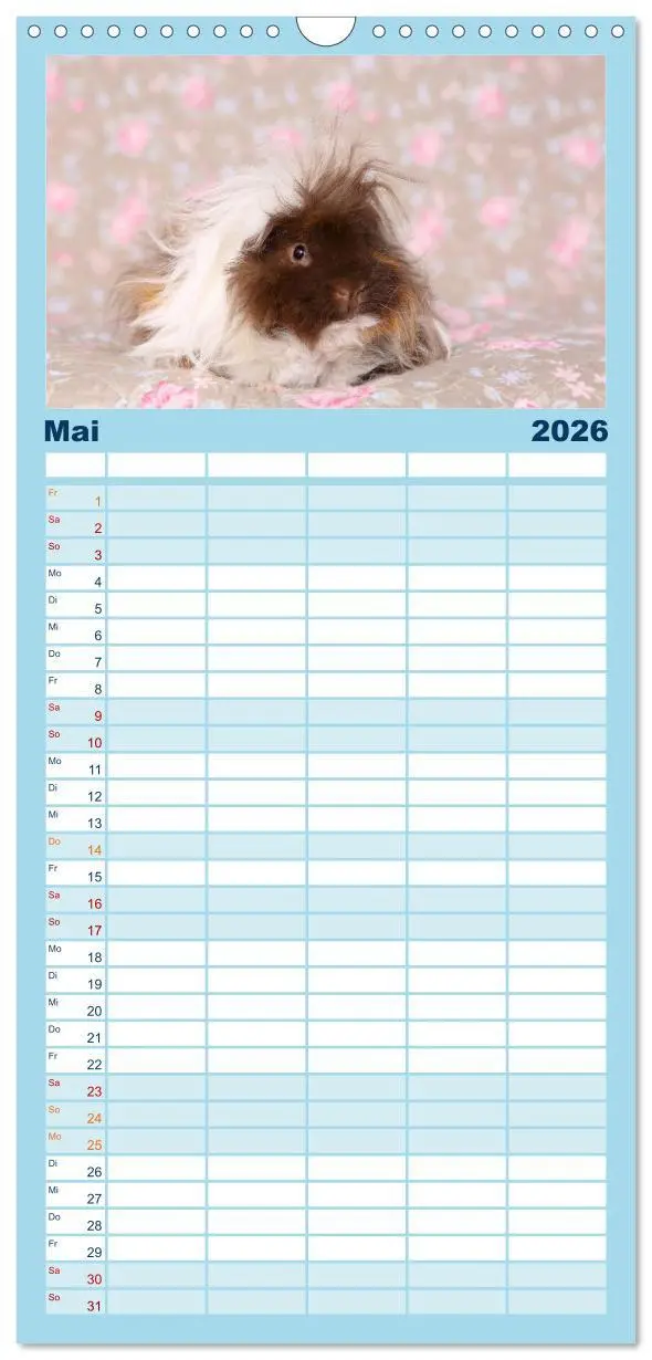 Bild: 9783516523515 | Familienplaner 2026 - Niedliche Meerschweinchen mit 5 Spalten...