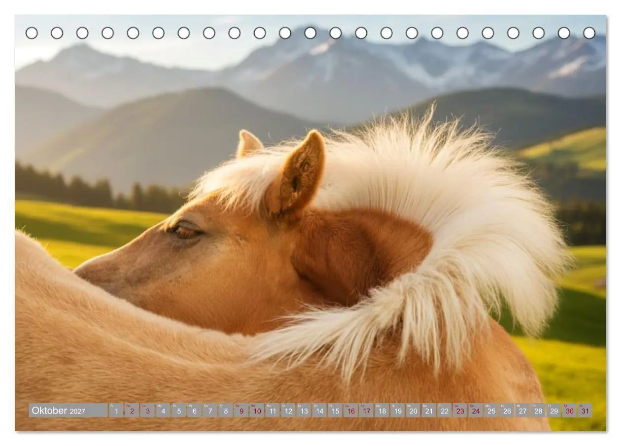 Bild: 9783516763515 | Alpentäler und Haflinger Pferde (Tischkalender 2027 DIN A5 quer),...