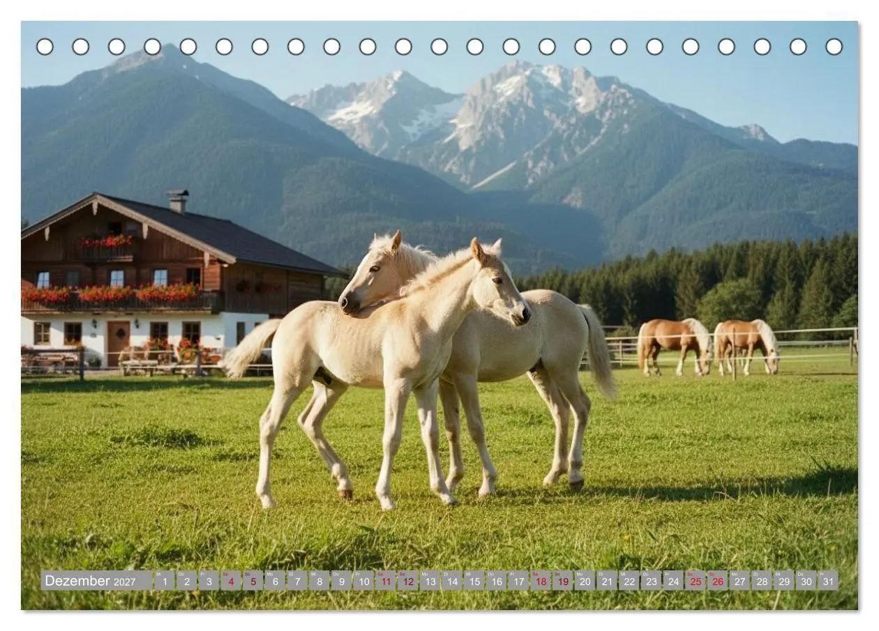 Bild: 9783516763515 | Alpentäler und Haflinger Pferde (Tischkalender 2027 DIN A5 quer),...