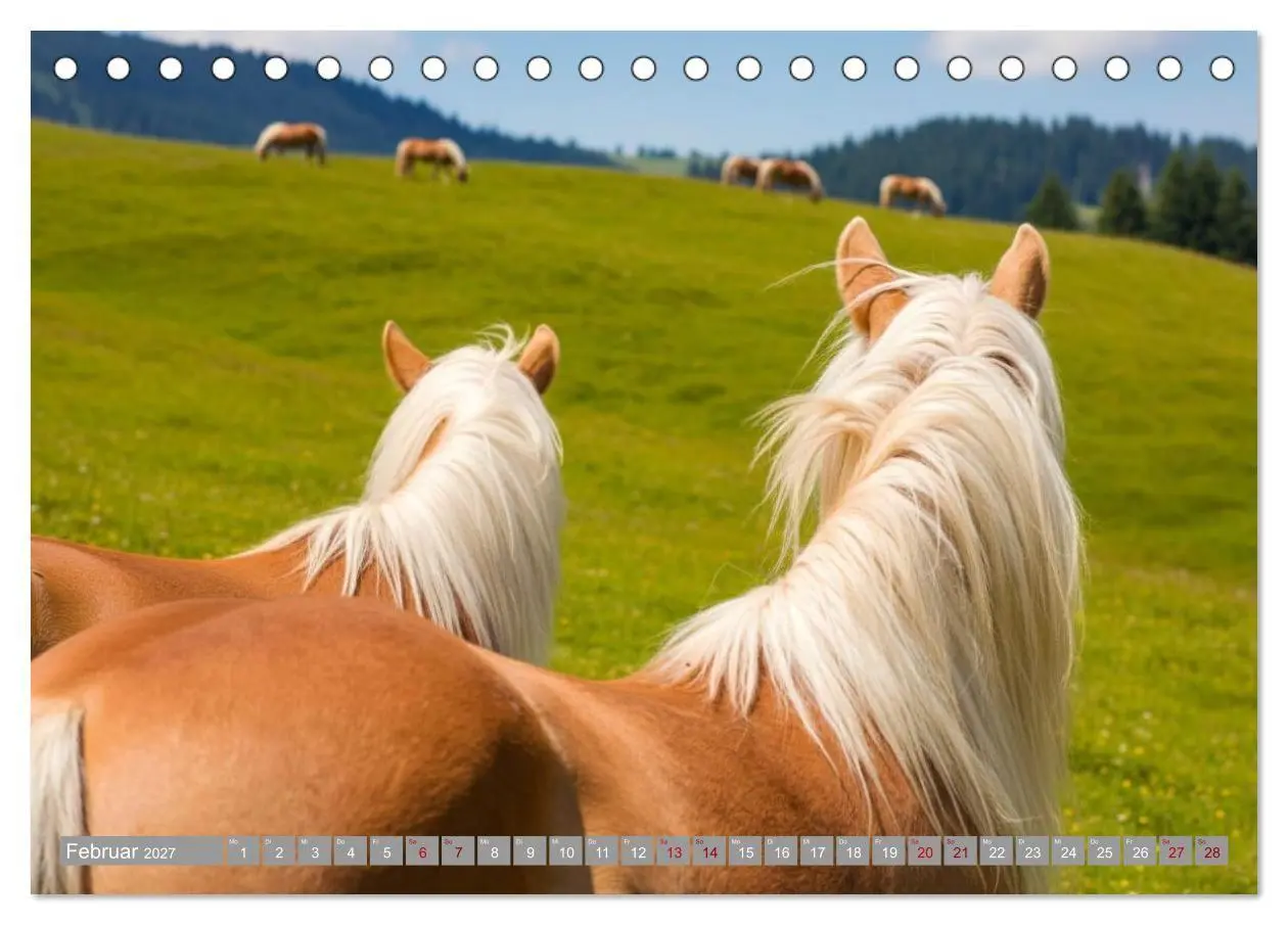 Bild: 9783516763515 | Alpentäler und Haflinger Pferde (Tischkalender 2027 DIN A5 quer),...
