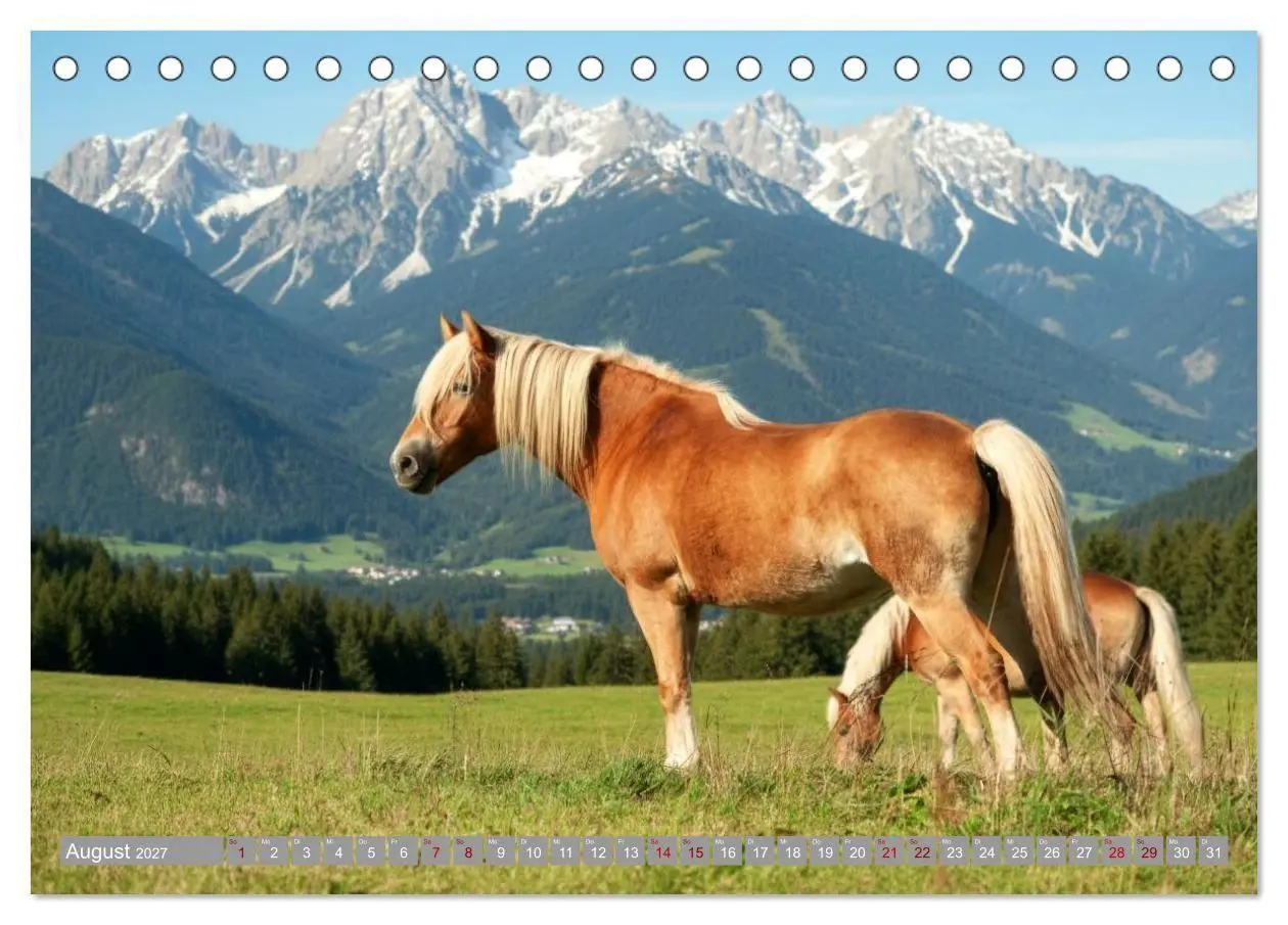 Bild: 9783516763515 | Alpentäler und Haflinger Pferde (Tischkalender 2027 DIN A5 quer),...