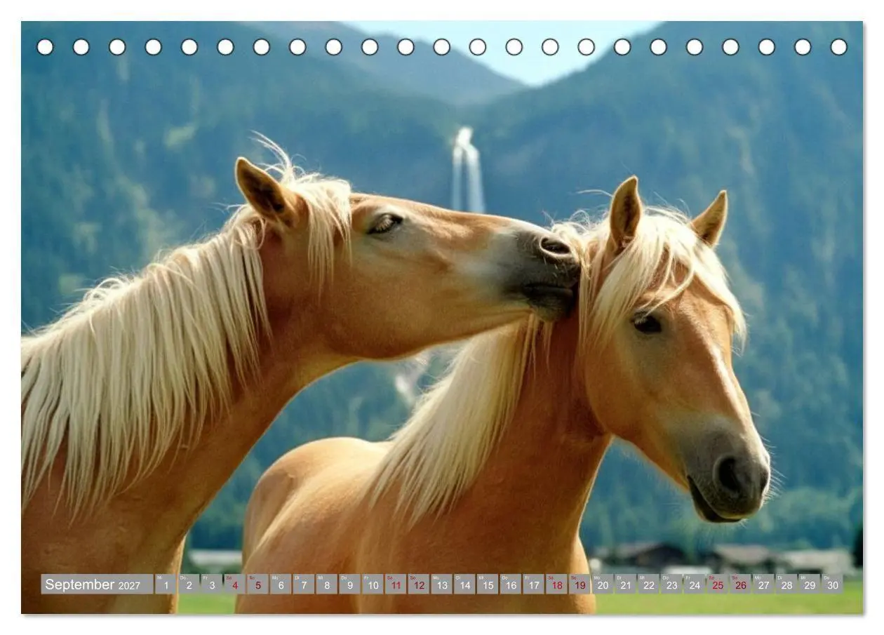 Bild: 9783516763515 | Alpentäler und Haflinger Pferde (Tischkalender 2027 DIN A5 quer),...