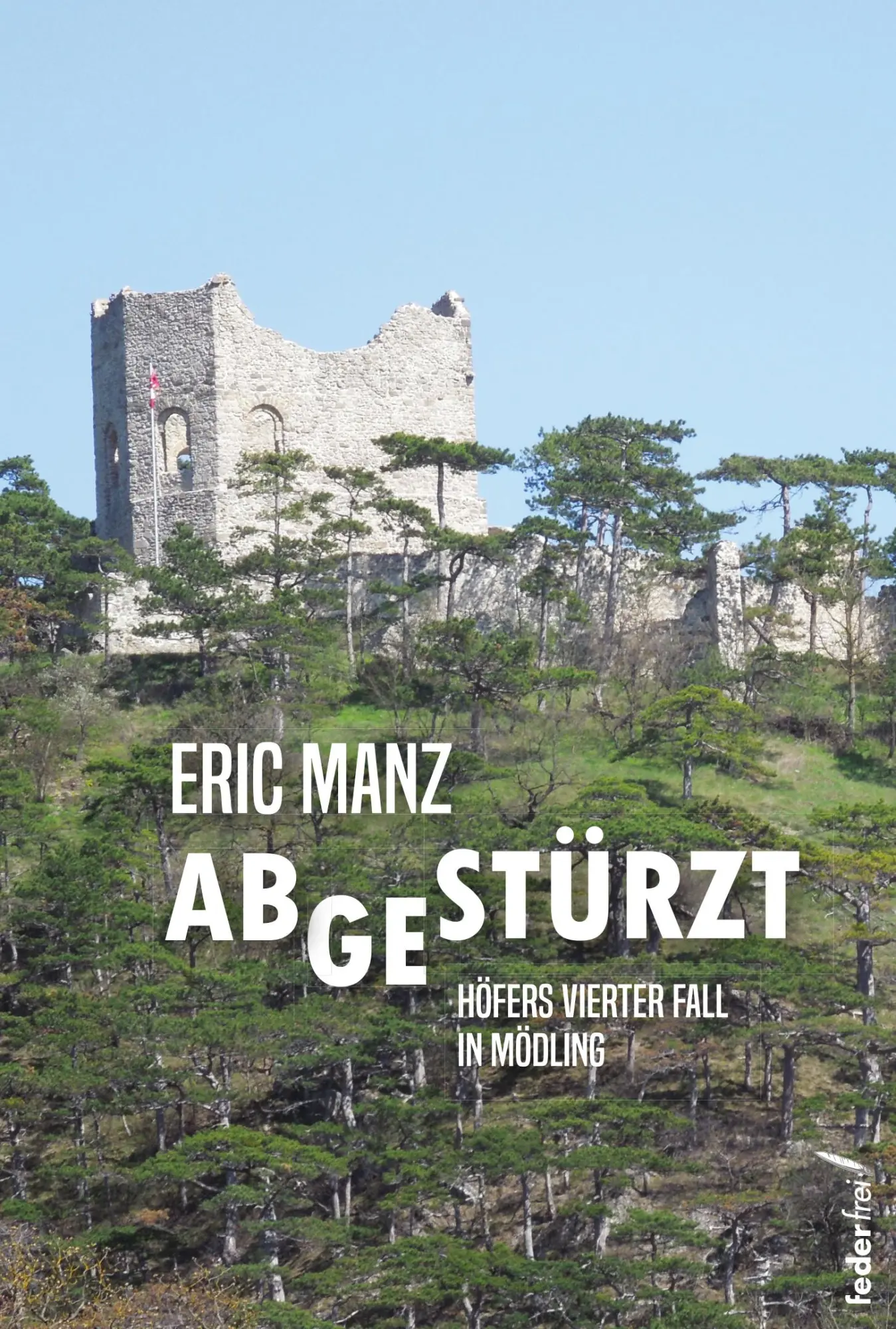 Cover: 9783990743515 | Abgestürzt | Höfers vierter Fall | Eric Manz | Taschenbuch | 200 S.