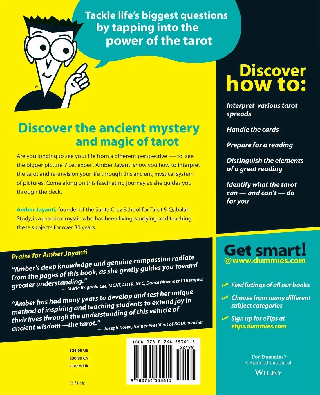 Rückseite: 9780764553615 | Tarot for Dummies | Amber Jayanti | Taschenbuch | Englisch | 2001