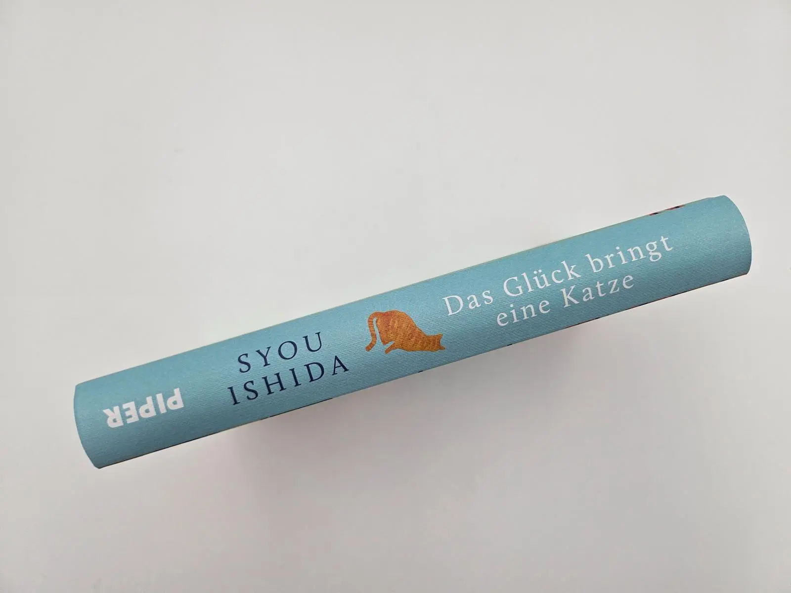 Bild: 9783492073615 | Das Glück bringt eine Katze | Syou Ishida | Buch | 304 S. | Deutsch