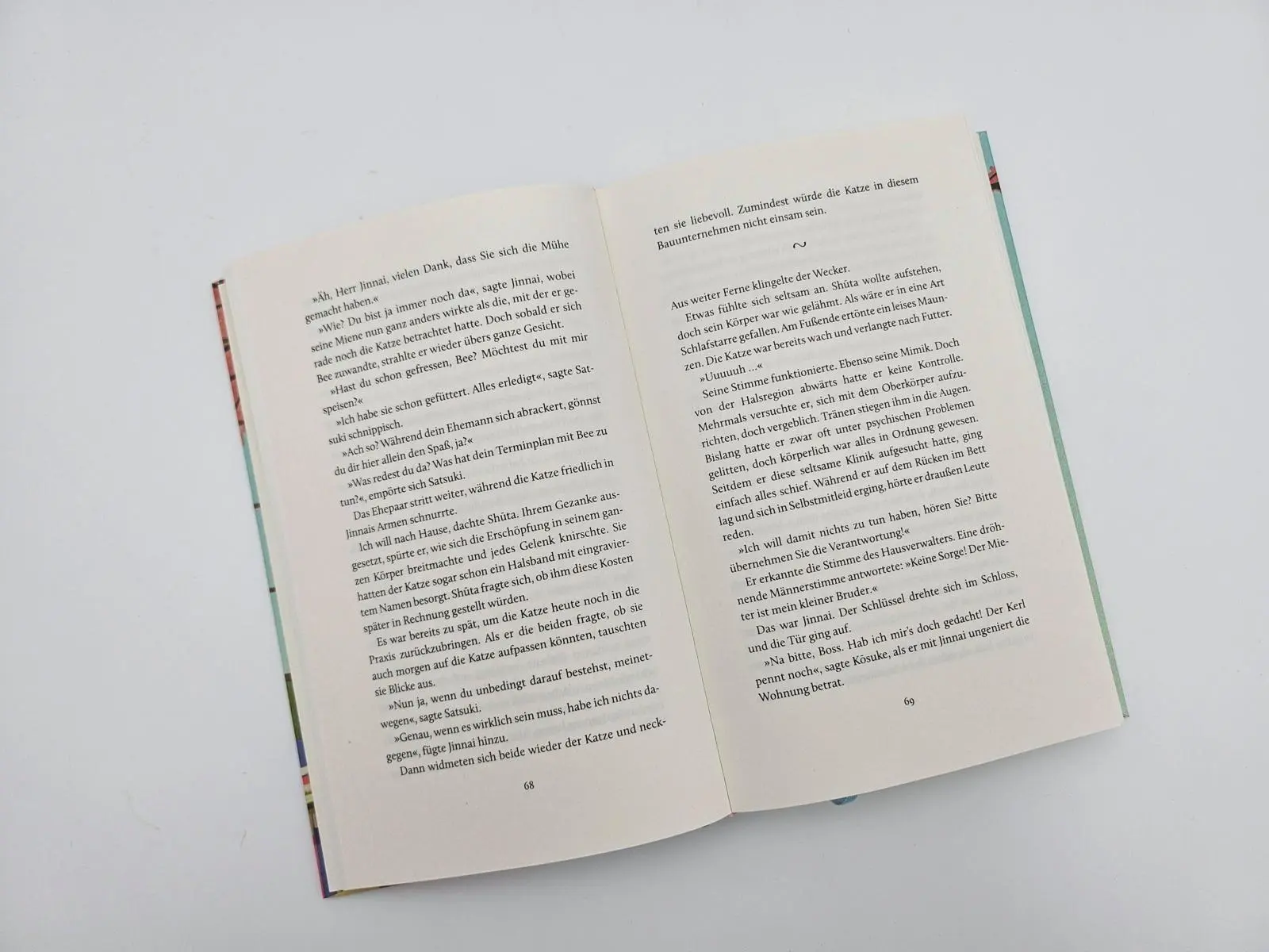 Bild: 9783492073615 | Das Glück bringt eine Katze | Syou Ishida | Buch | 304 S. | Deutsch