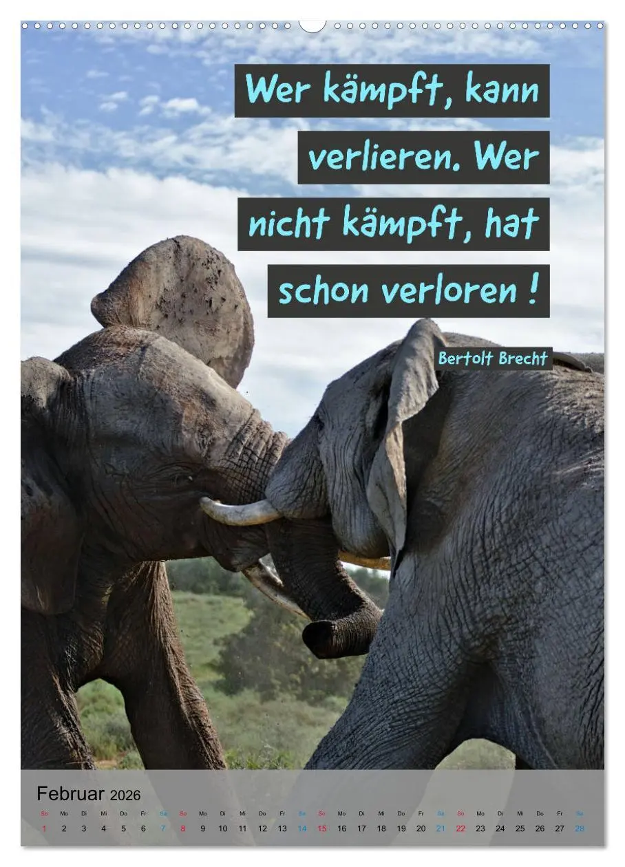 Bild: 9783516373615 | Aktiviere Deine Motivation Weisheiten und Sprüche (hochwertiger...