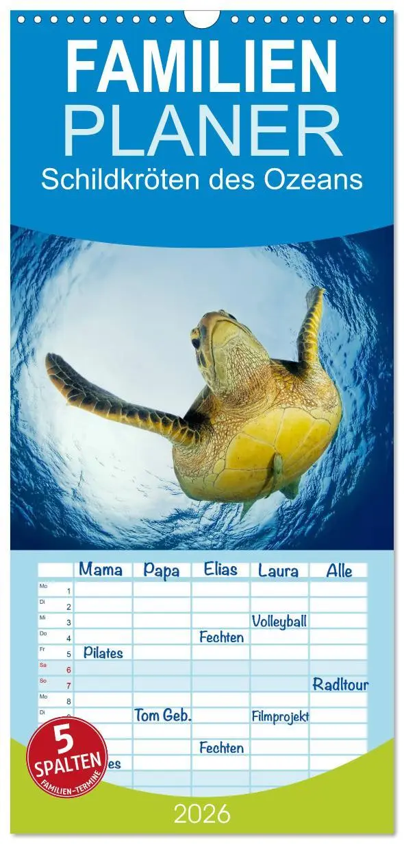 Cover: 9783516513615 | Familienplaner 2026 - Schildkröten des Ozeans mit 5 Spalten...