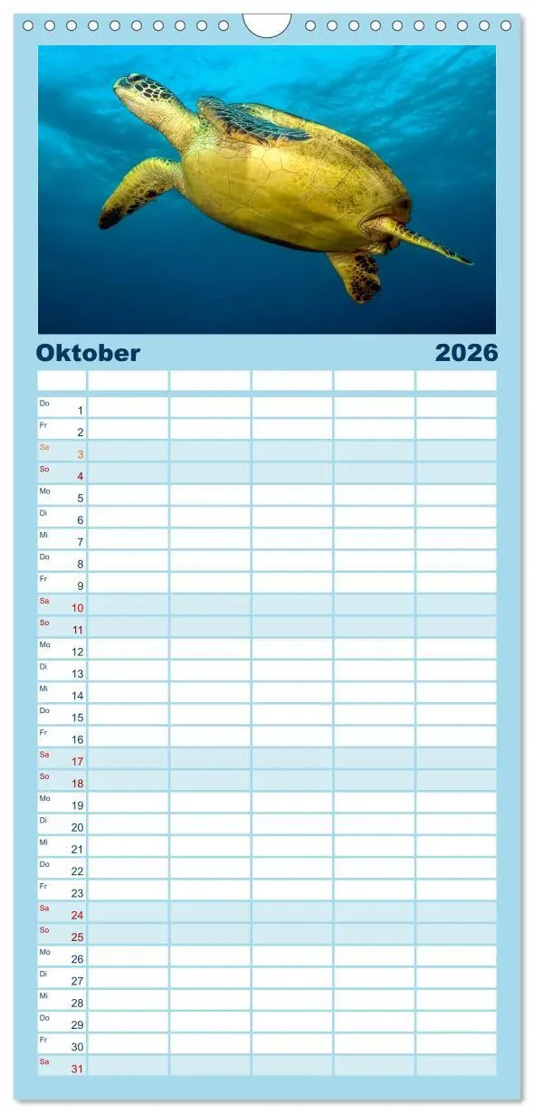 Bild: 9783516513615 | Familienplaner 2026 - Schildkröten des Ozeans mit 5 Spalten...