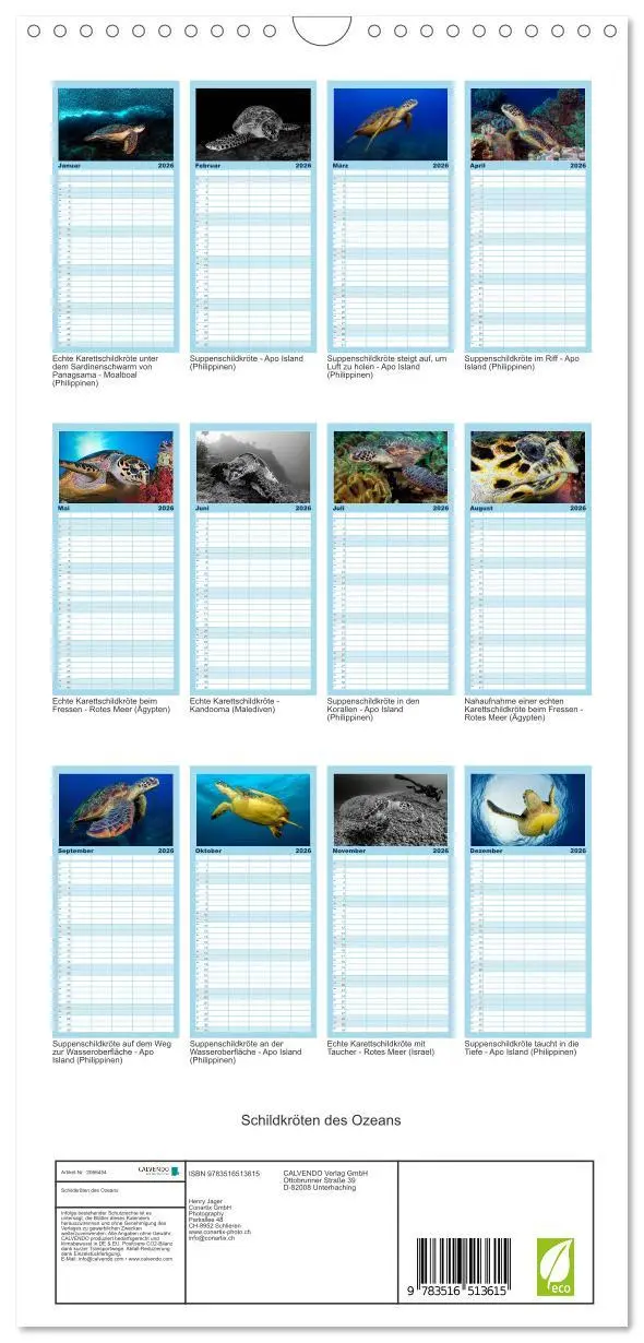 Bild: 9783516513615 | Familienplaner 2026 - Schildkröten des Ozeans mit 5 Spalten...