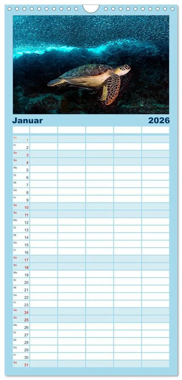 Bild: 9783516513615 | Familienplaner 2026 - Schildkröten des Ozeans mit 5 Spalten...