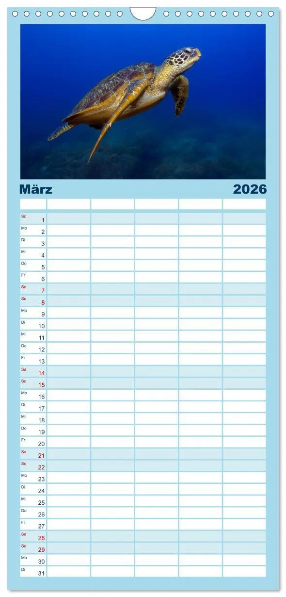 Bild: 9783516513615 | Familienplaner 2026 - Schildkröten des Ozeans mit 5 Spalten...
